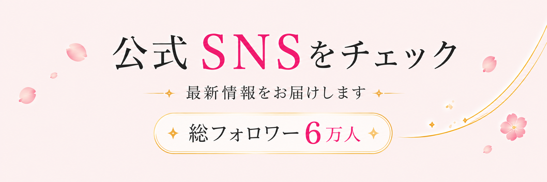 公式SNSをチェック｜最新情報をお届けします